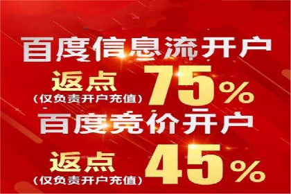 百度竞价公司运营策略：成功案例解析
